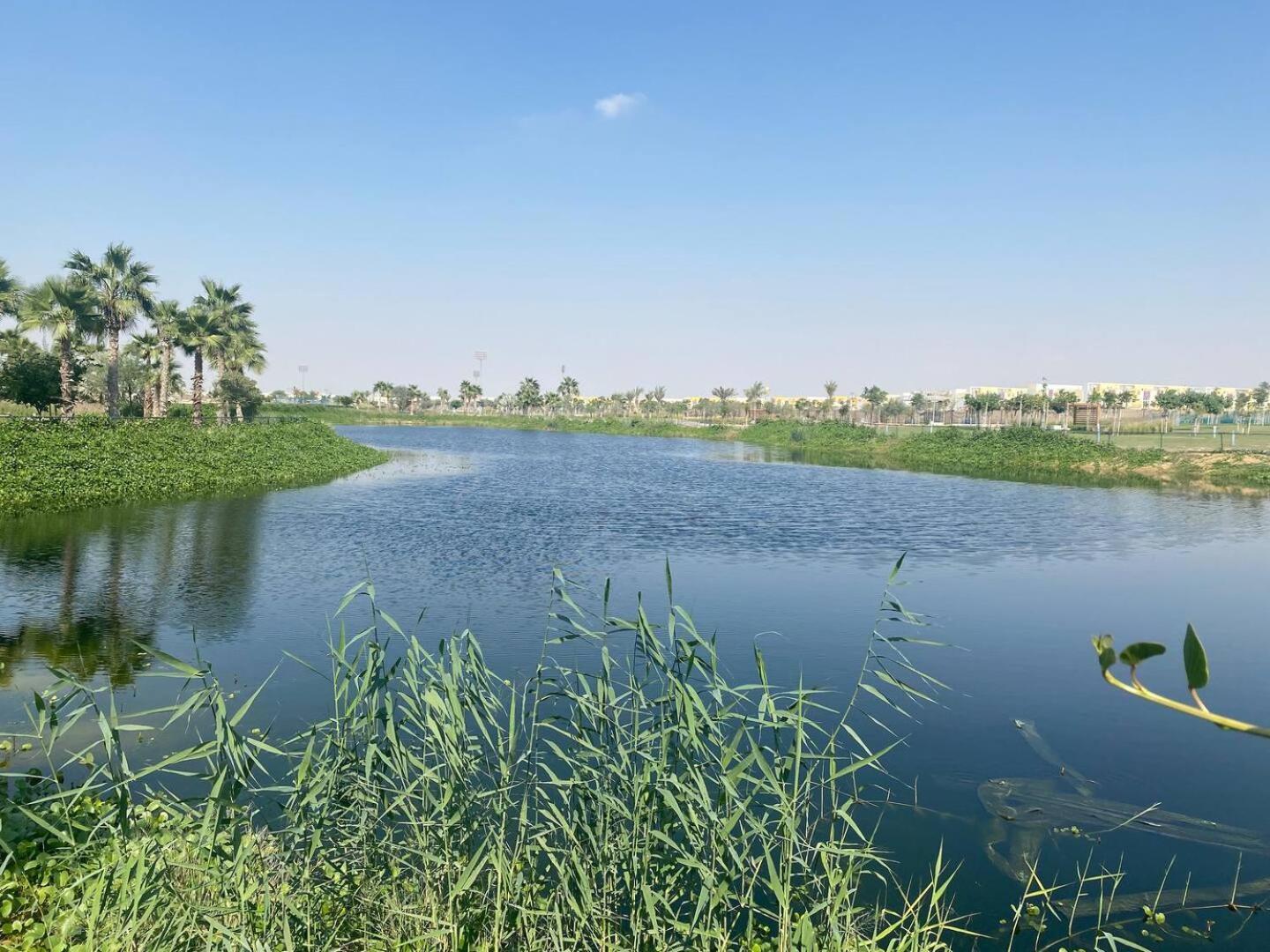 Villa Victoria Damac Hills 2 Family Retreat With Waterpark And Petting Farm Dubai Buitenkant foto