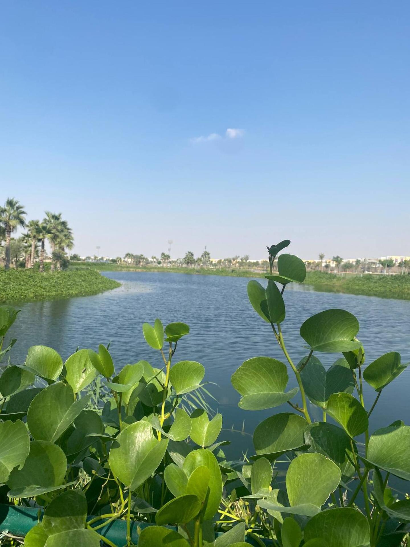 Villa Victoria Damac Hills 2 Family Retreat With Waterpark And Petting Farm Dubai Buitenkant foto